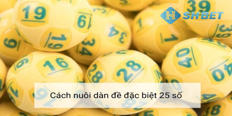 dàn đề 25 Cách soi cầu dàn đề 25 số khung 3 ngày uy tín