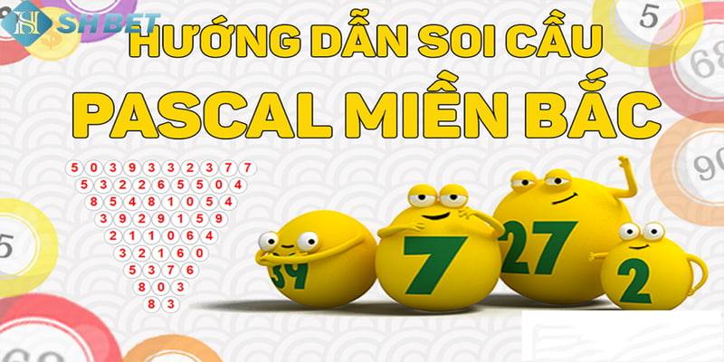 soi cầu Pascal Hướng dẫn cách soi cầu Pascal chuẩn chuyên gia