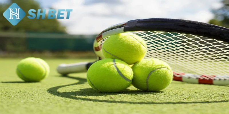 Tìm hiểu vài nét khái quát về dự đoán kèo tennis