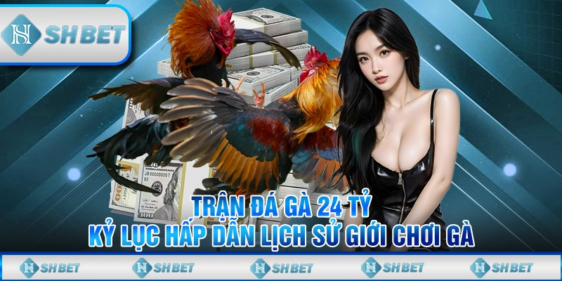Trận Đá Gà 24 Tỷ - Kỷ Lục Hấp Dẫn Lịch Sử Giới Chơi Gà