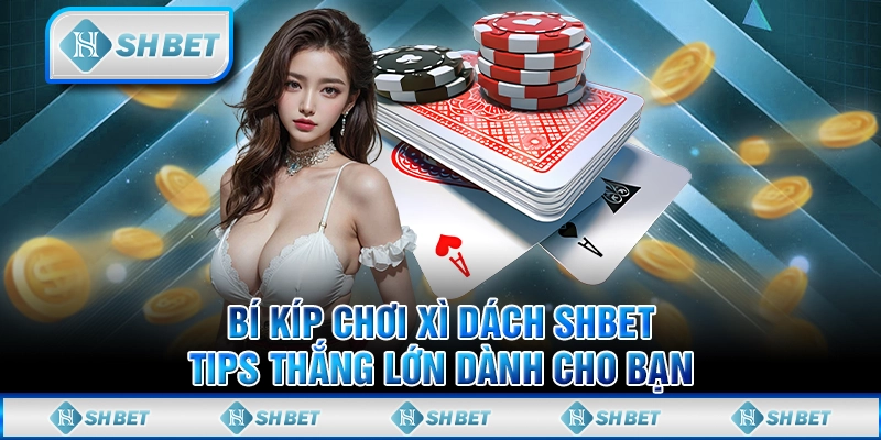 Bí Kíp Chơi Xì Dách SHBET - Tips Thắng Lớn Dành Cho Bạn