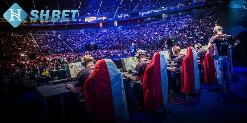Tổng hợp các siêu phẩm Esport được yêu thích trên thị trường