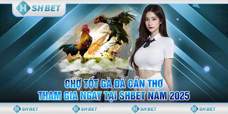 Chợ Tốt Gà Đá Cần Thơ - Tham Gia Ngay Tại SHBET Năm 2025