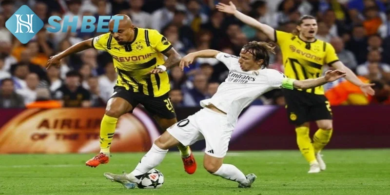 Lợi ích khi trải nghiệm cúp C1 Châu Âu trực tiếp tại SHBET