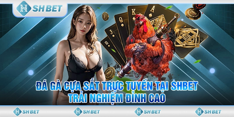 Đá Gà Cựa Sắt Trực Tuyến Tại SHBET - Trải Nghiệm Đỉnh Cao