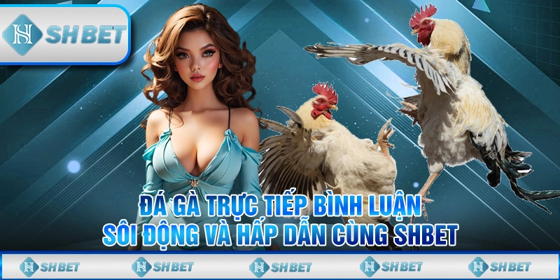 Đá Gà Trực Tiếp Bình Luận Sôi Động Và Hấp Dẫn Cùng SHBET
