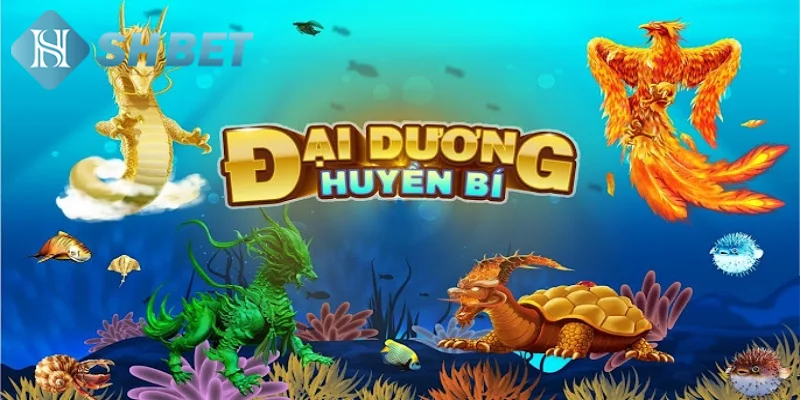 Tìm hiểu một vài nét khái quát về đại dương huyền bí