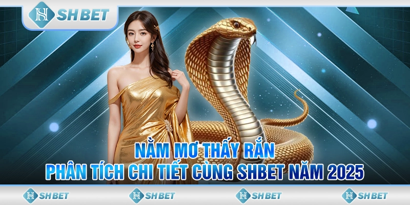 Nằm Mơ Thấy Rắn - Phân Tích Chi Tiết Cùng SHBET Năm 2025
