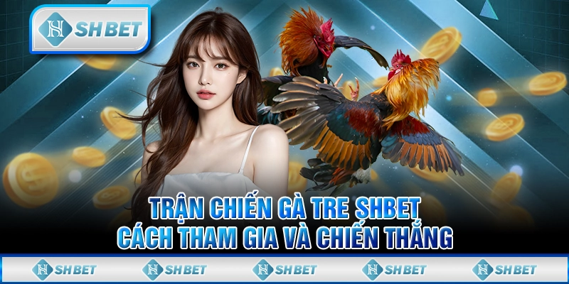 Trận Chiến Gà Tre SHBET - Cách Tham Gia Và Chiến Thắng