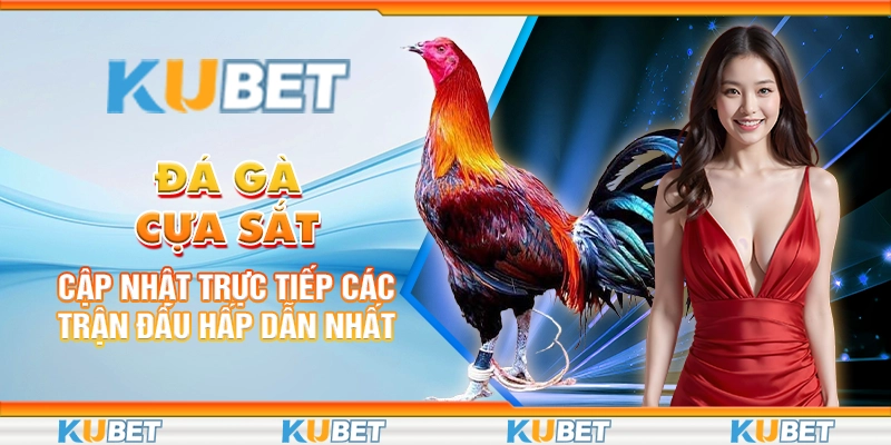 Đá Gà Cựa Sắt: Cập Nhật Trực Tiếp Các Trận Đấu Hấp Dẫn Nhất