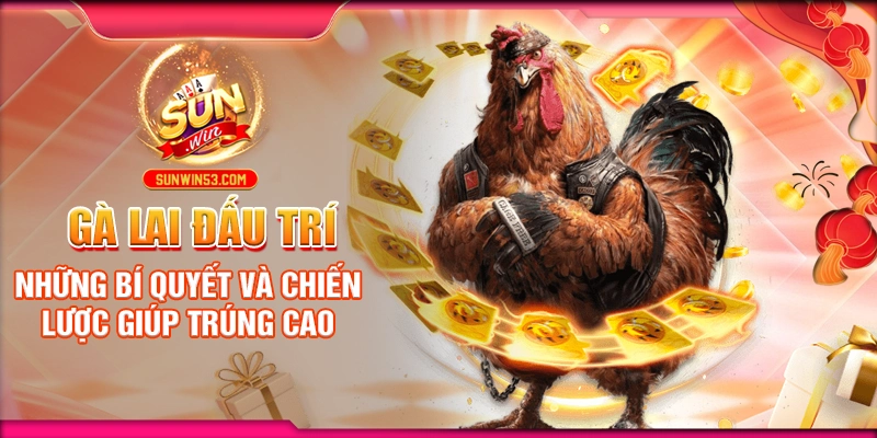 ga-lai-dau-tri-nhung-bi-quyet-va-chien-luoc-giup-trung-cao