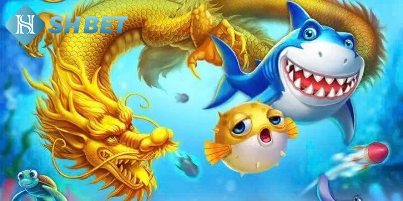 Tổng hợp sức hấp dẫn mà săn cá rồng vàng mang đến