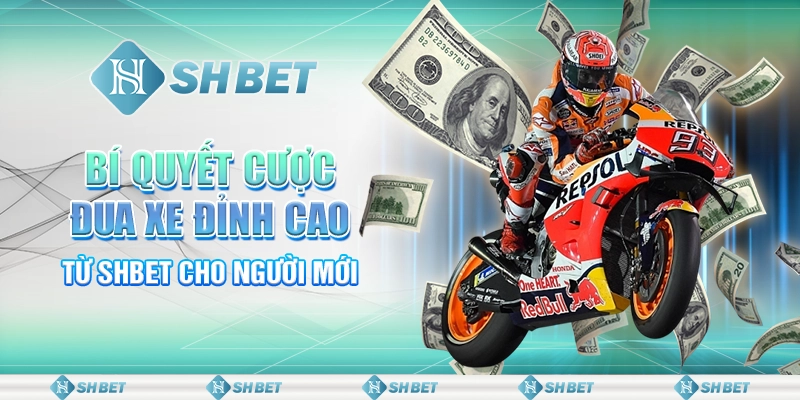 Bí Quyết Cược Đua Xe Đỉnh Cao Từ SHBET Cho Người Mới