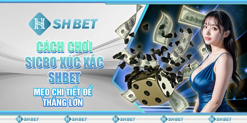 Cách Chơi Sicbo Xúc Xắc SHBET – Mẹo Chi Tiết Để Thắng Lớn