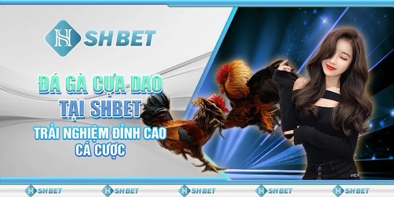 Đá Gà Cựa Dao Tại SHBET - Trải Nghiệm Đỉnh Cao Cá Cược
