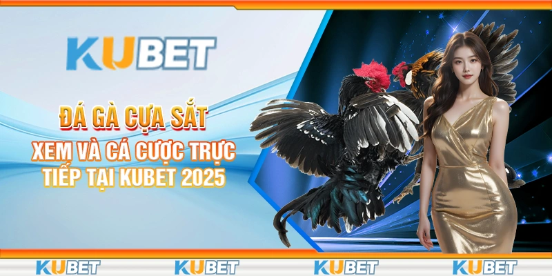 Đá Gà Cựa Sắt - Xem Và Cá Cược Trực Tiếp Tại Kubet 2025