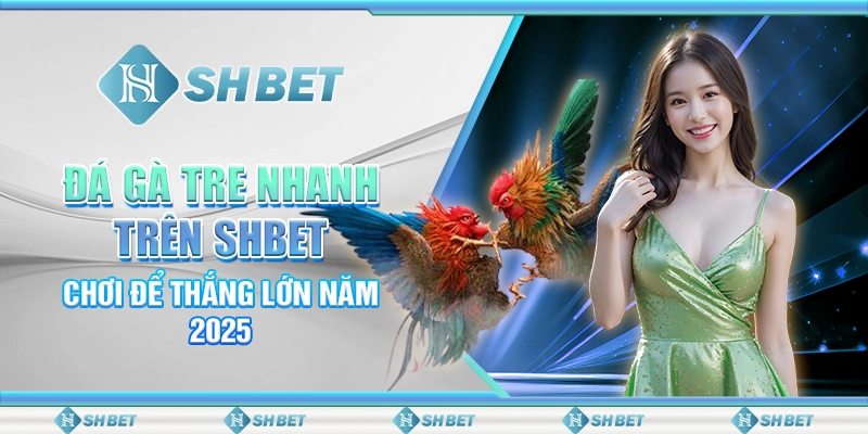 Đá Gà Tre Nhanh Trên SHBET - Chơi Để Thắng Lớn Năm 2025