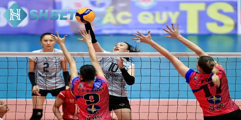 Thông tin cơ bản hội viên cần biết về cá cược bóng chuyền