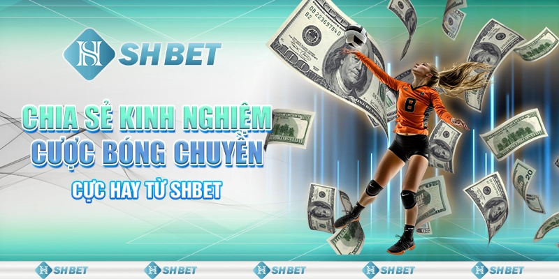Chia Sẻ Kinh Nghiệm Cược Bóng Chuyền Cực Hay Từ SHBET