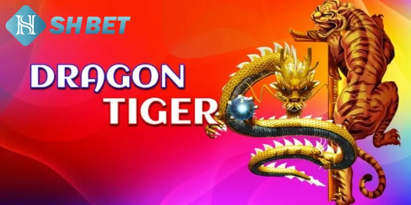 Tìm hiểu sơ lược về nguồn gốc của game bài rồng hổ