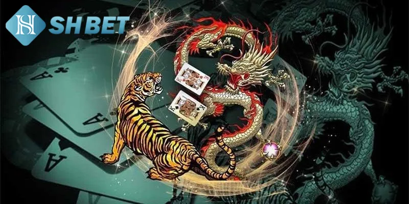 Các kỹ thuật chơi rồng hổ hiệu quả từ cao thủ lâu năm