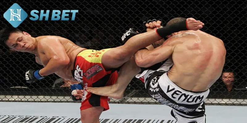 Một vài thông tin cơ bản cần viết về thi đấu UFC