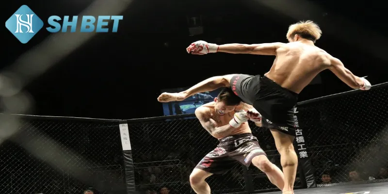 Lý do lịch thi đấu UFC được nhiều người quan tâm
