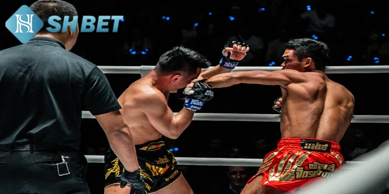 Tổng hợp lịch thi đấu UFC mới nhất hiện nay