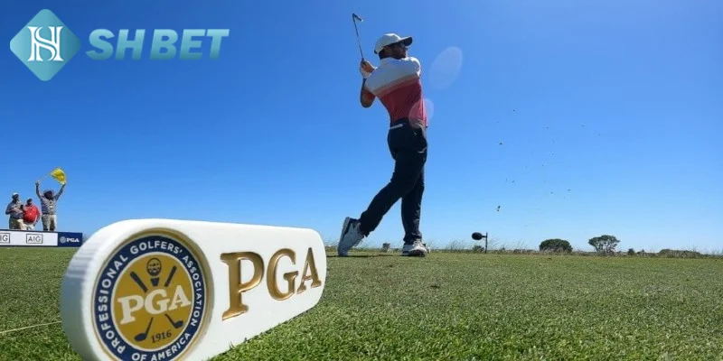 Khám phá các kiến thức cơ bản về giải Golf PGA Tour