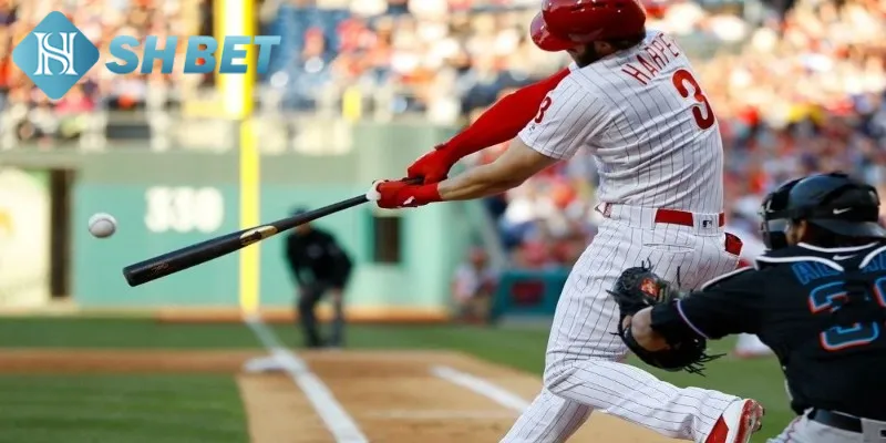 Tìm hiểu đôi nét thông tin khái quát về giải bóng chày MLB
