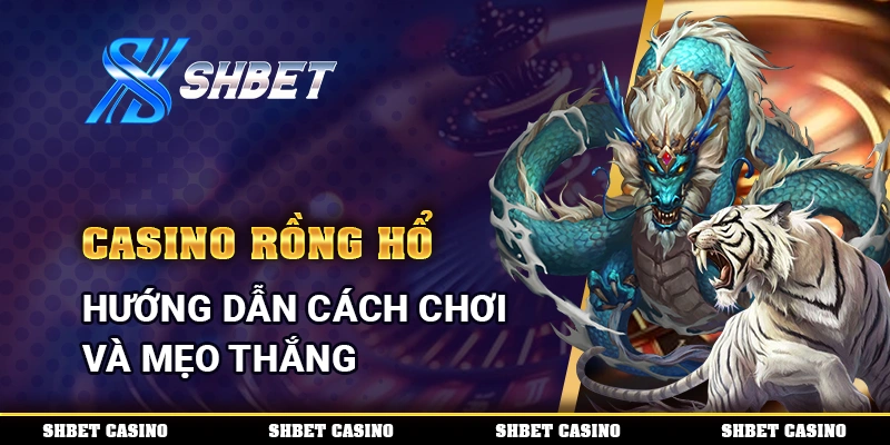 Casino Rồng Hổ