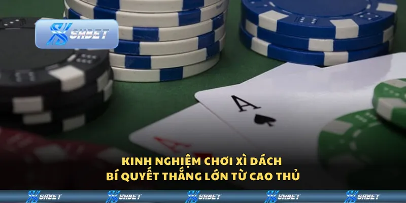Kinh nghiệm chơi Xì Dách - Bí quyết thắng lớn từ cao thủ
