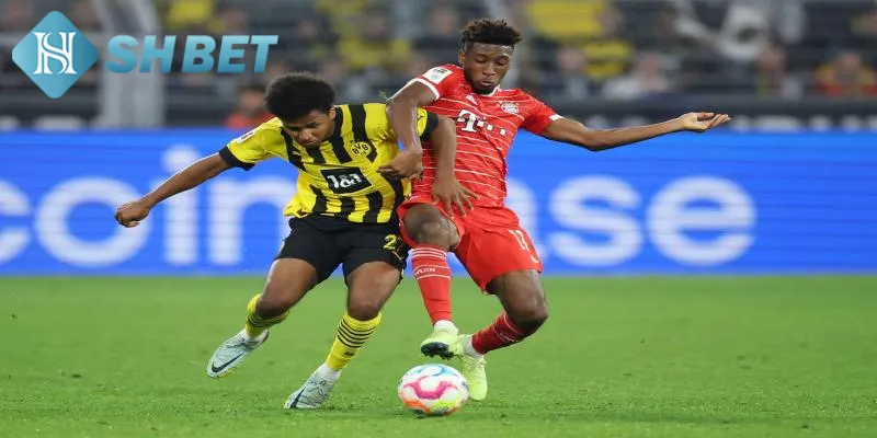Bundesliga Đức là giải bóng hấp dẫn hàng đầu hành tinh