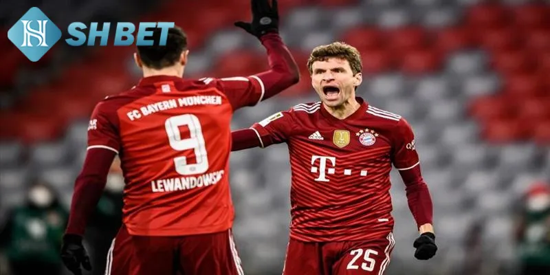 Kinh nghiệm soi kèo Bundesliga Đức tăng tỷ lệ chiến thắng