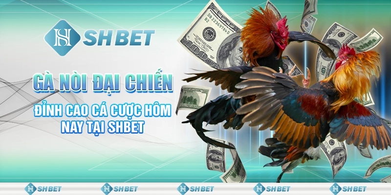 Gà Nòi Đại Chiến - Đỉnh Cao Cá Cược Hôm Nay Tại SHBET