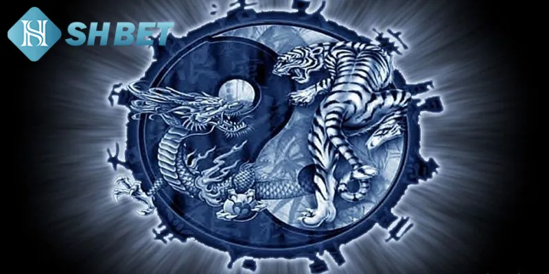 Tìm hiểu các cửa cược quen thuộc có trong game bài rồng hổ