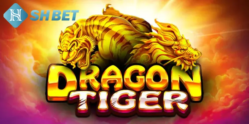 Chia sẻ quy luật chơi Tiger Dragon chuẩn cho tân binh