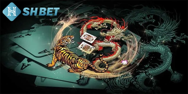 Bí quyết chơi Tiger Dragon hiệu quả từ chuyên gia