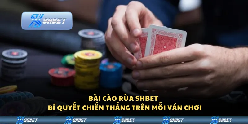 Bài Cào Rùa Shbet - Bí quyết chiến thắng trên mỗi ván chơi