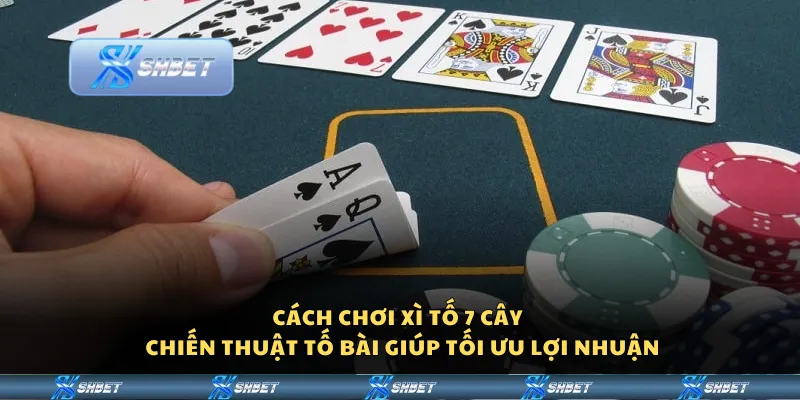 Cách chơi xì tố 7 cây – Chiến thuật tố bài giúp tối ưu lợi nhuận