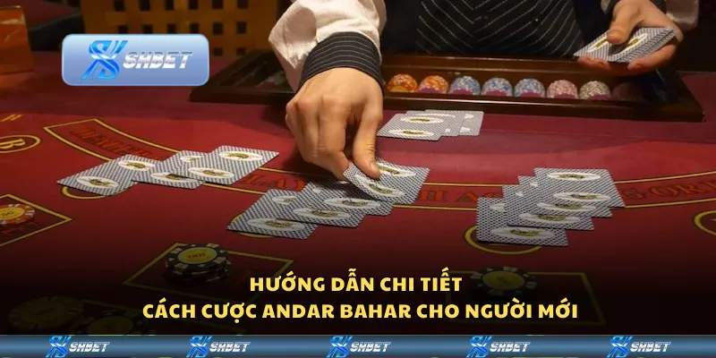 Hướng dẫn chi tiết - Cách cược Andar Bahar cho người mới