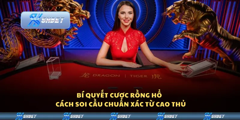 Bí quyết cược Rồng Hổ – Cách soi cầu chuẩn xác từ cao thủ