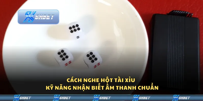 Cách nghe hột tài xỉu – kỹ năng nhận biết âm thanh chuẩn