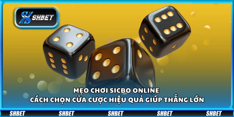 Mẹo chơi Sicbo online – Cách chọn cửa cược hiệu quả giúp thắng lớn