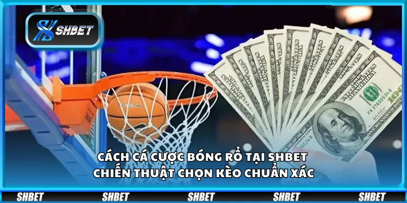 Cách cá cược bóng rổ tại Shbet – Chiến thuật chọn kèo chuẩn xác