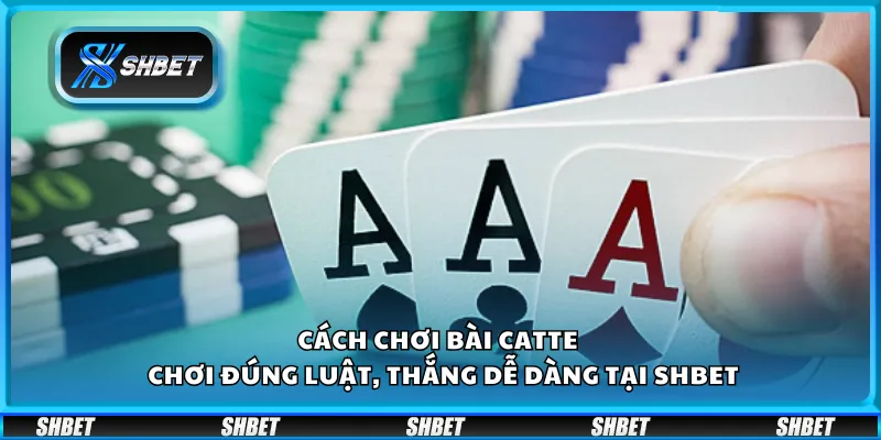 Cách chơi bài Catte – Chơi đúng luật, thắng dễ dàng tại Shbet