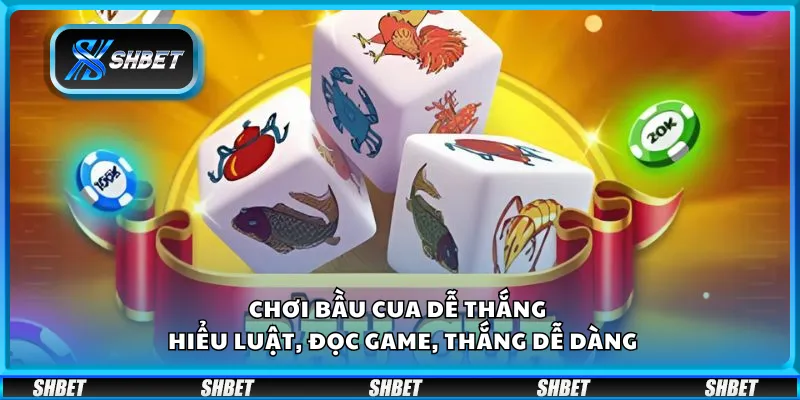 Chơi bầu cua dễ thắng – Hiểu luật, đọc game, thắng dễ dàng