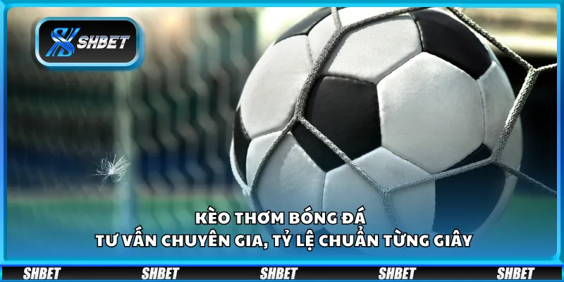 Kèo thơm bóng đá – Tư vấn chuyên gia, tỷ lệ chuẩn từng giây