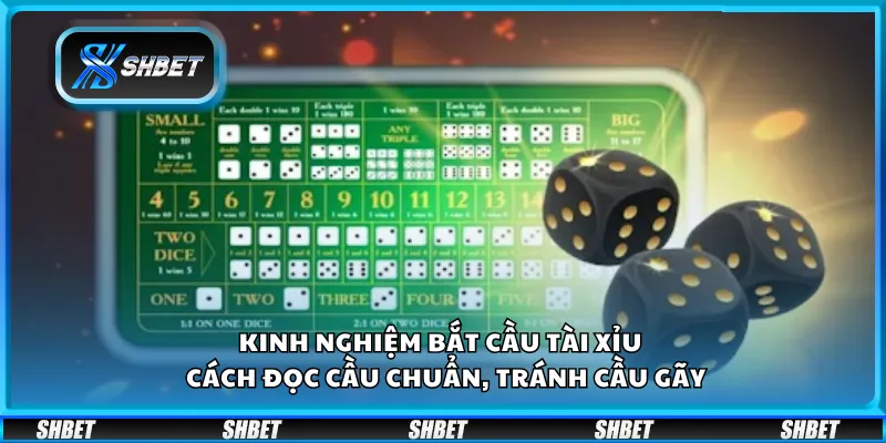 Kinh nghiệm bắt cầu tài xỉu – Cách đọc cầu chuẩn, tránh cầu gãy