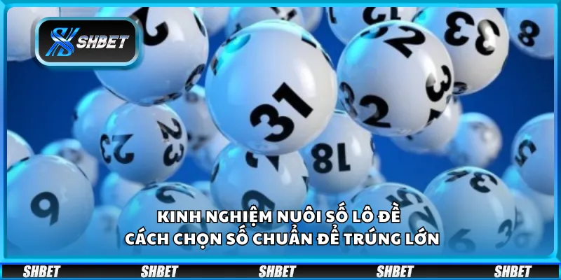 Kinh nghiệm nuôi số lô đề – Cách chọn số chuẩn để trúng lớn